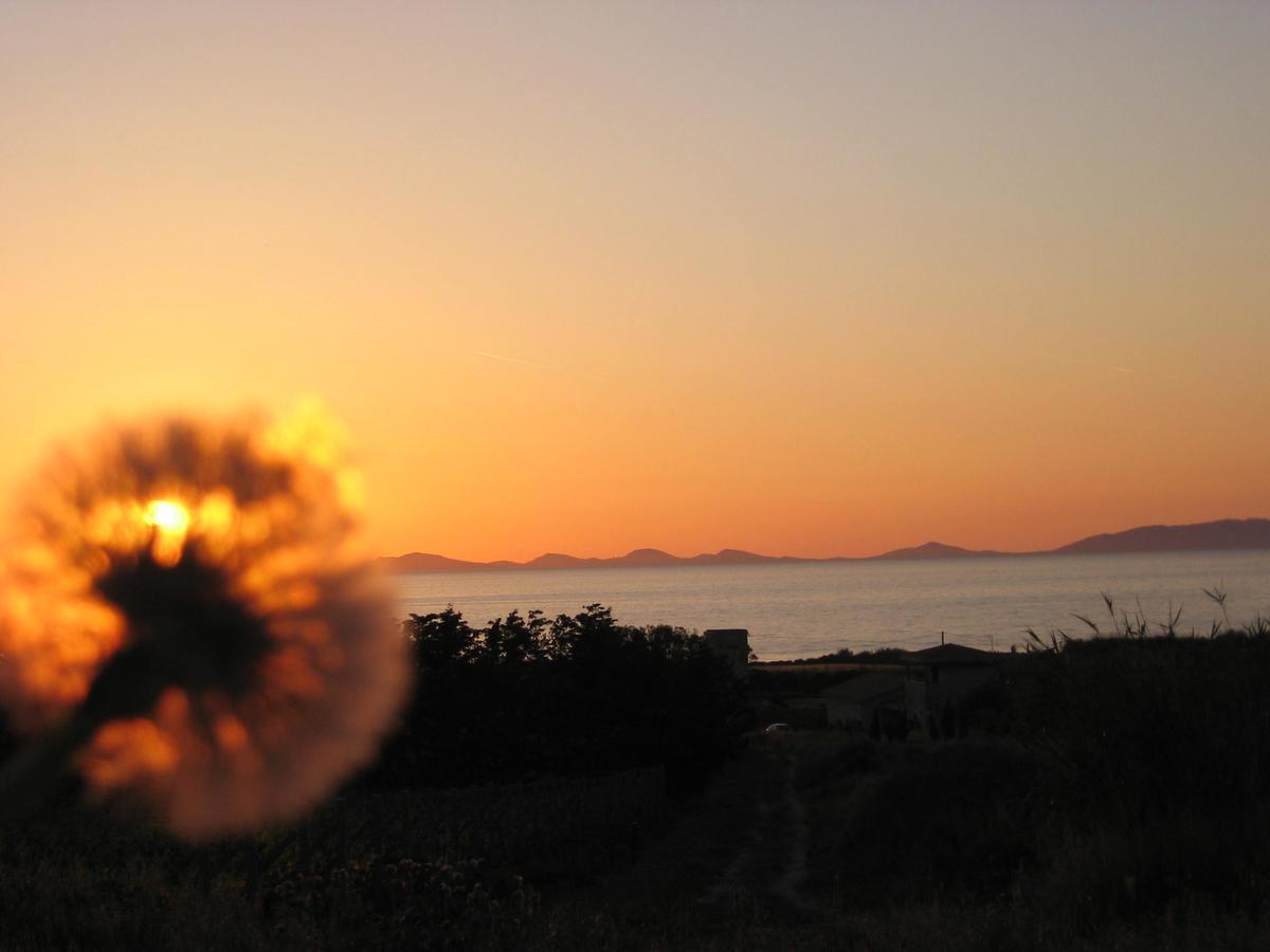 Roccabianca Βίλα Sorso Εξωτερικό φωτογραφία